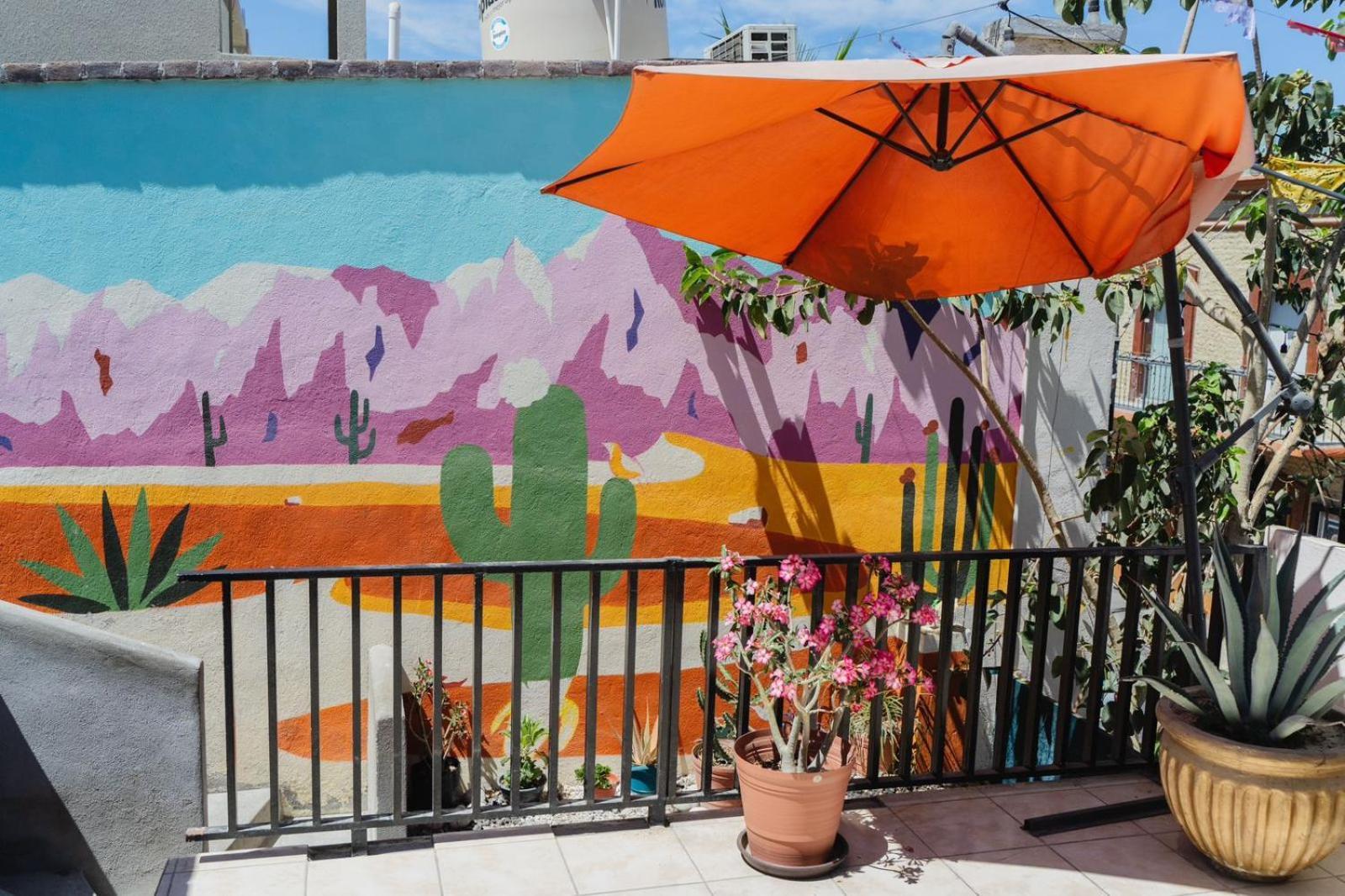 Desert Heart Hostel San José del Cabo Exteriér fotografie